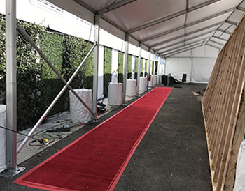 Red Carpet
